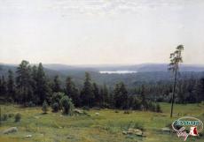 Лесные дали (1884)