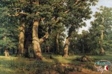 Oak grove (1887)